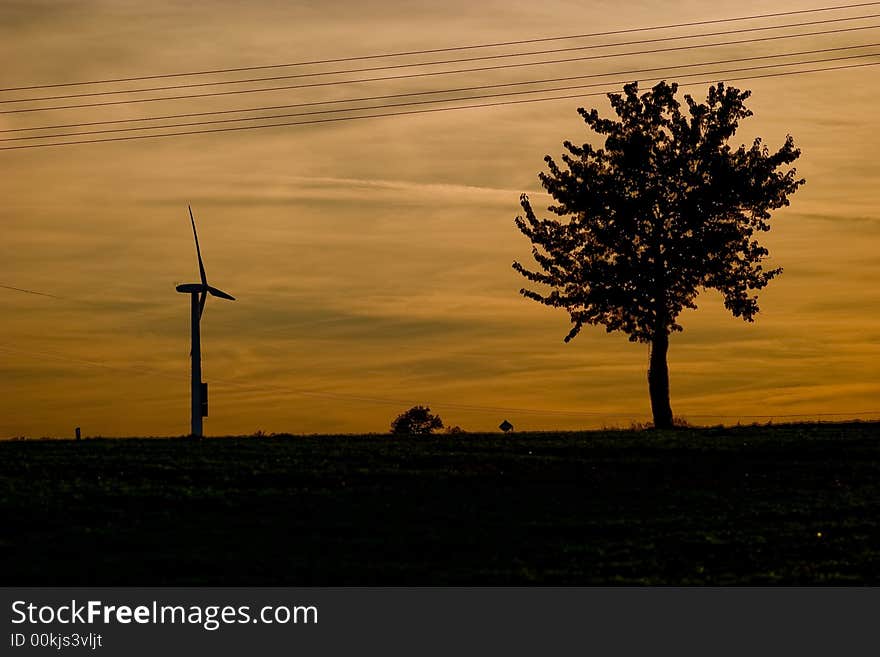 Tree´s silhouette