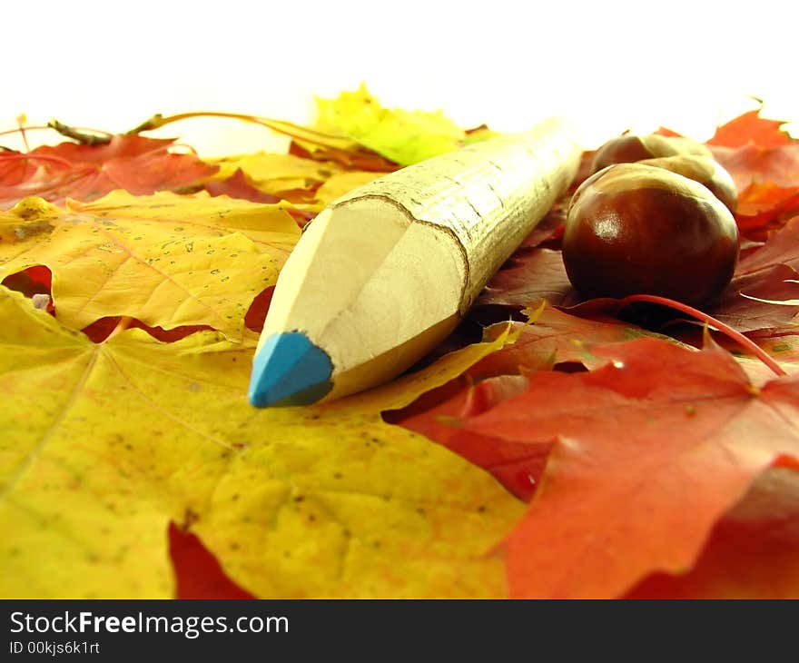 Chestnuts and color pencil