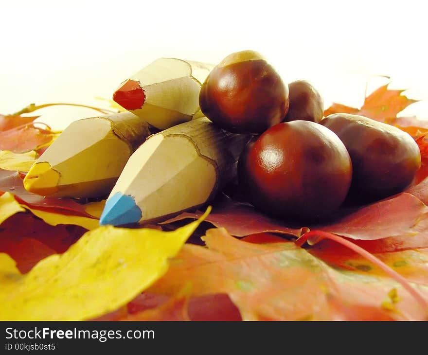 Chestnuts And Color Pencils