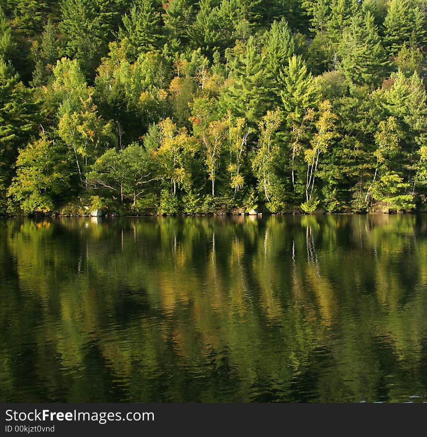 Autumn lake reflection in calm waters