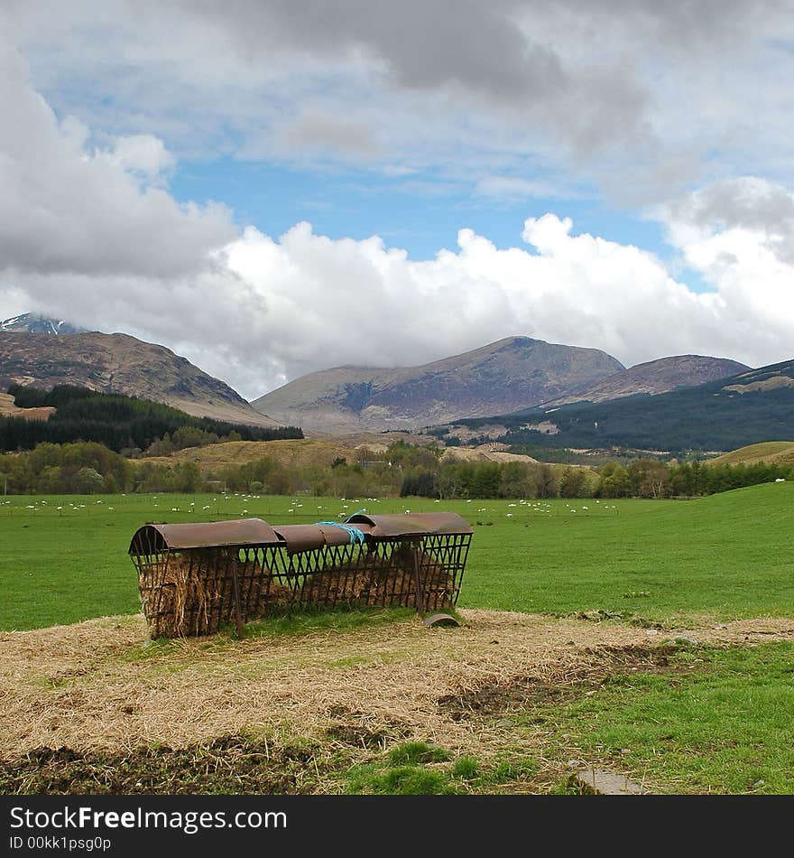 Along the highlands