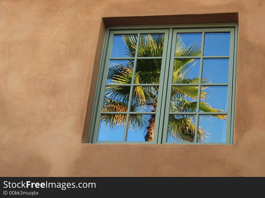 Reflection of palm