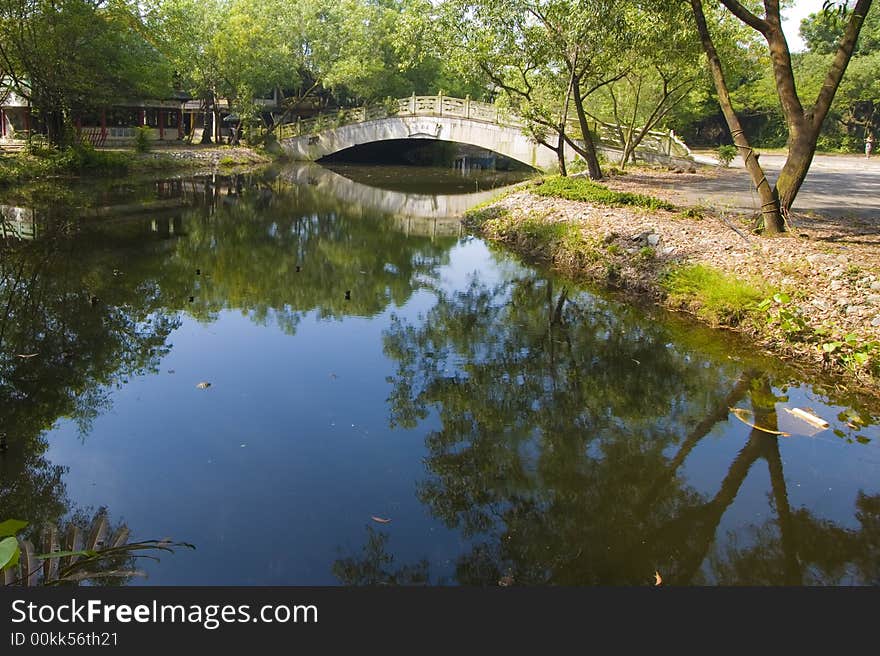 A bridge in a tranquil garden