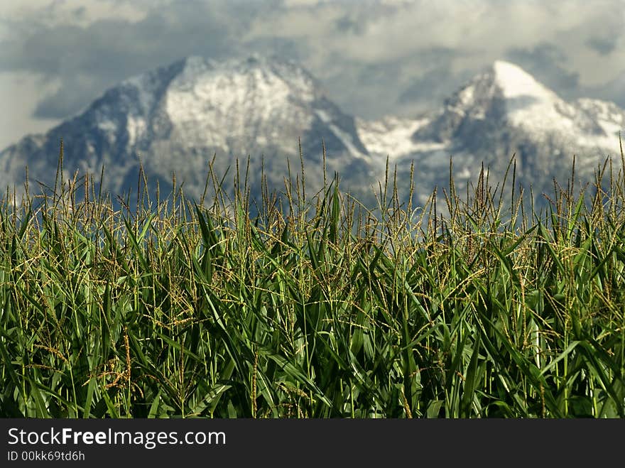 First snow in the Kamnik's alps in Slovenia