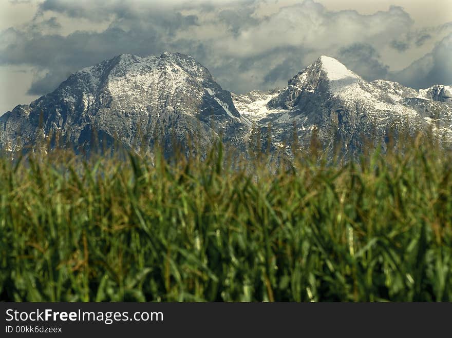 First snow in the Kamnik's alps in Slovenia