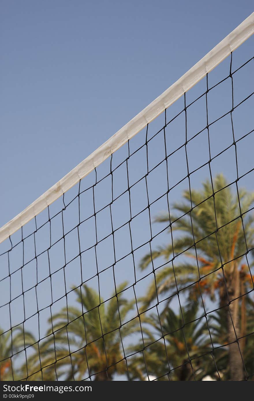 Volleyball net with palm trees against a blue sky