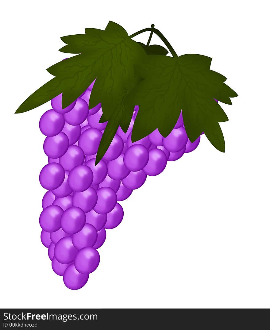 A large bunch of bright purple grapes with green leaves.