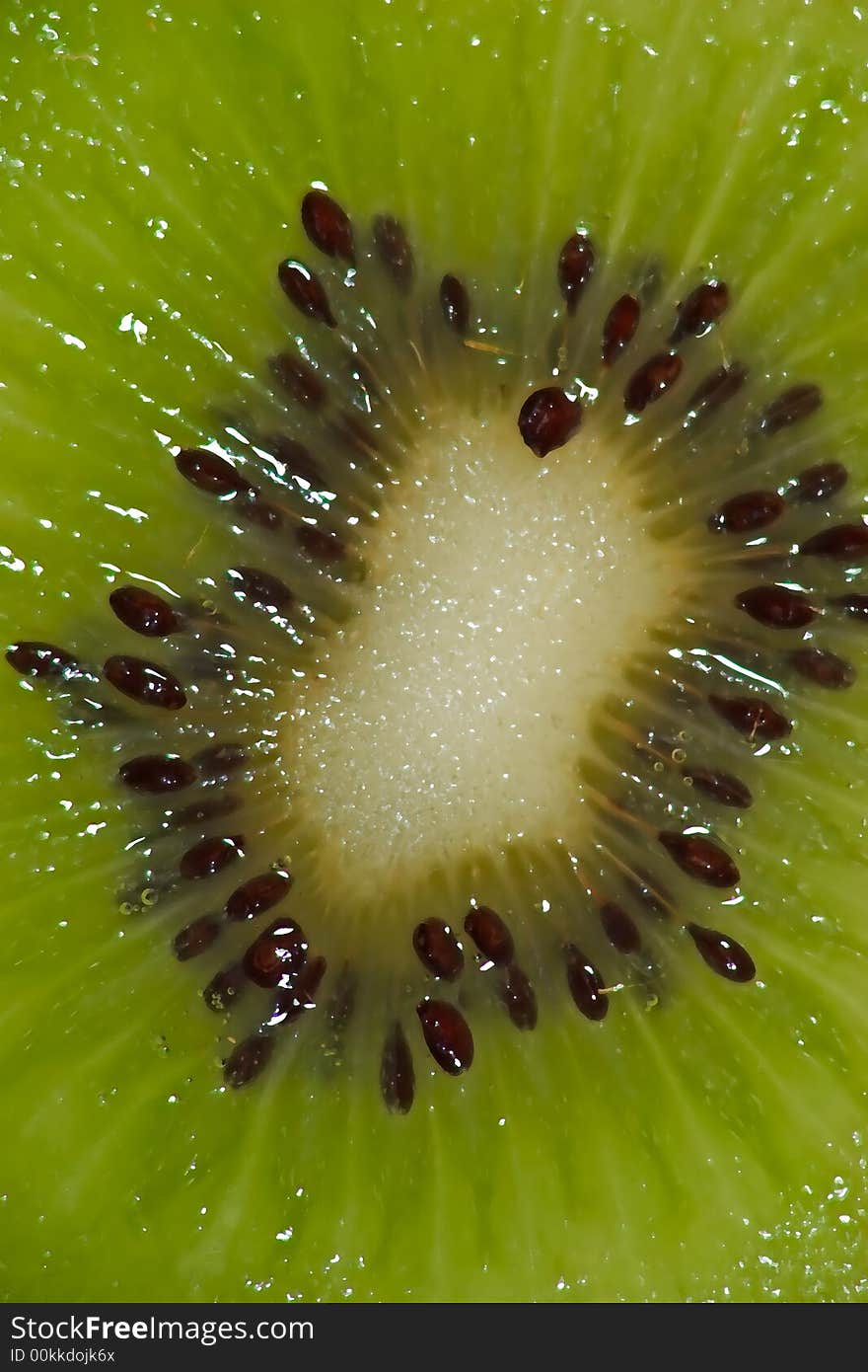 Close-up of a fruit of kiwi