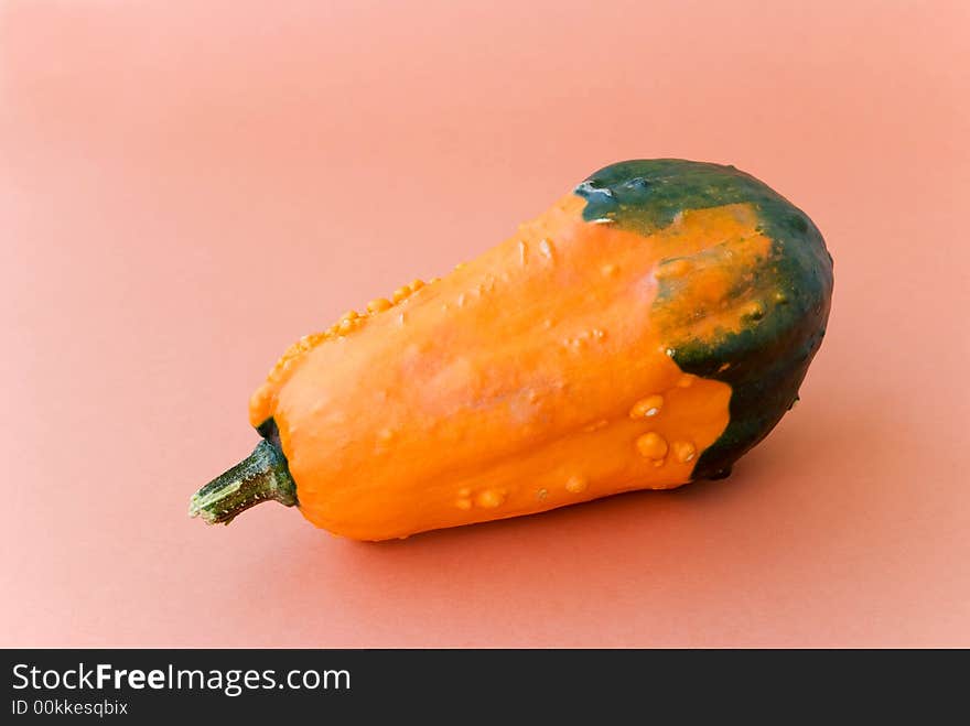 Mini Pumpkin.a close up shot on apricot background.