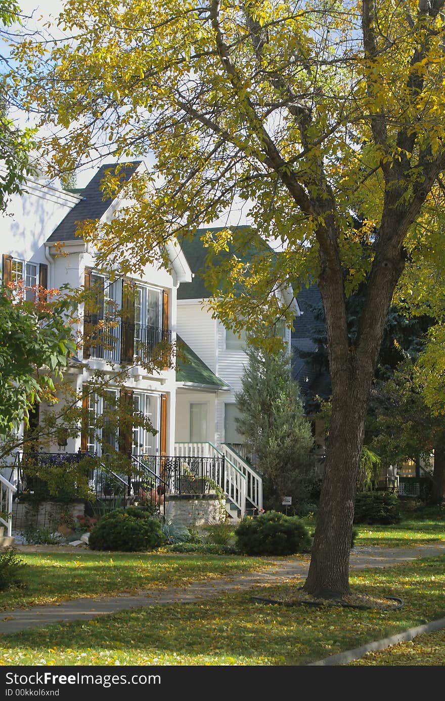 A colonial house with fall trees in front. A colonial house with fall trees in front