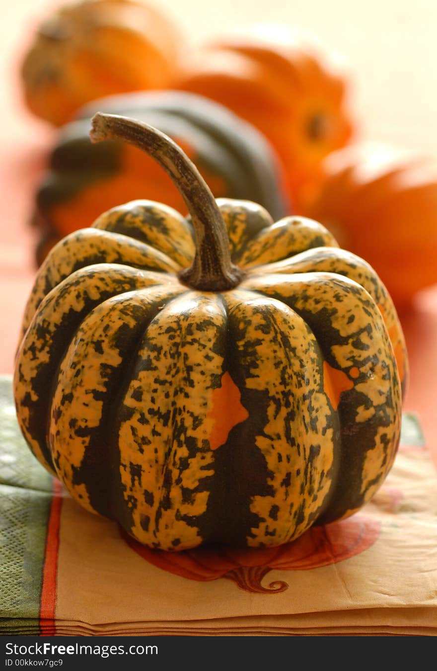 Several colorful pumpkins and gourds in an autumn setting bathed in natural light