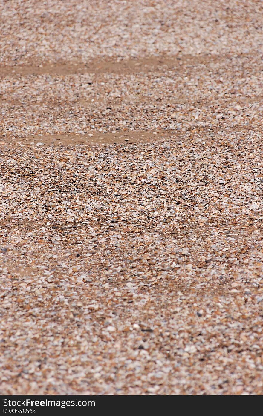 Lot of shells in the sand on a beach. Lot of shells in the sand on a beach