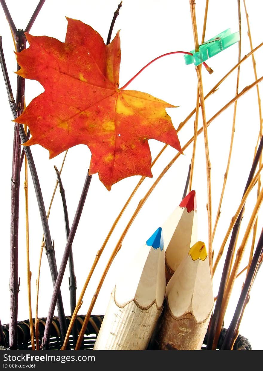 Autumn composition with leaf: coloured pencils in basket on white background