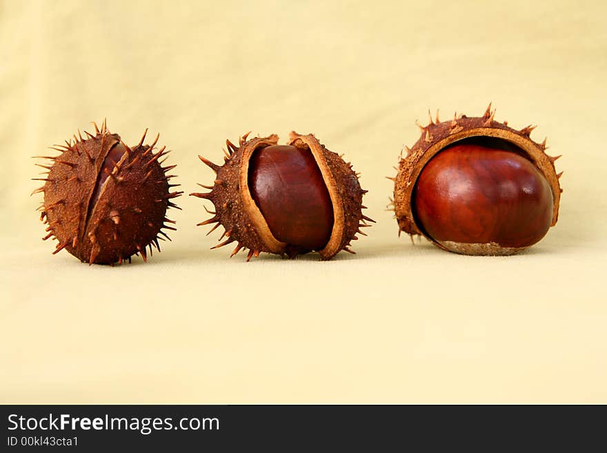 3 chestnuts isolated on sepia background. 3 chestnuts isolated on sepia background