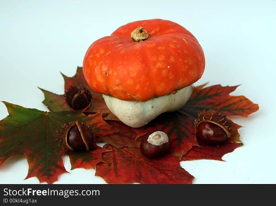 Autumn decoration isolated on white background