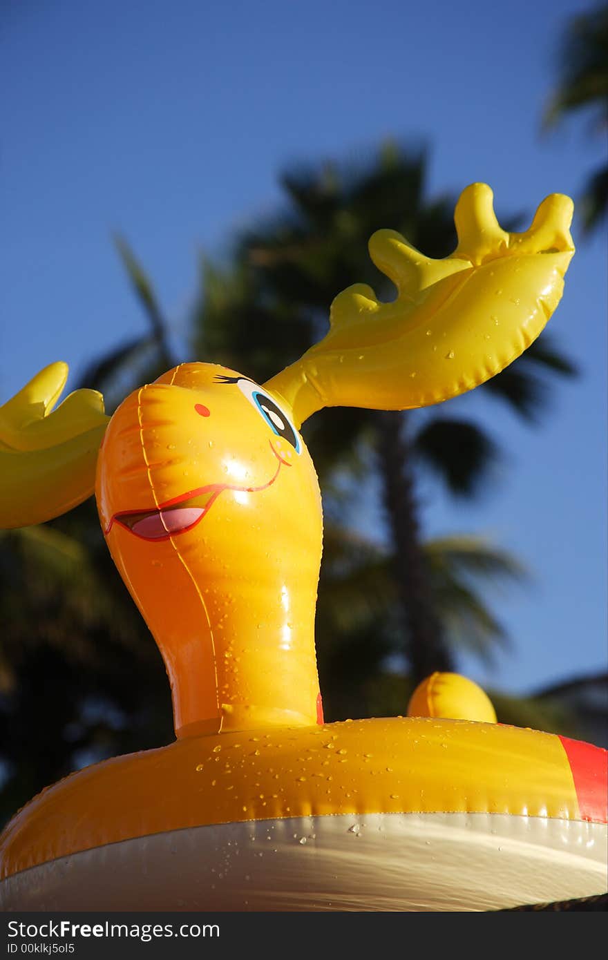 Pool toy at Los Cabos, Baja California Sur, Mexico