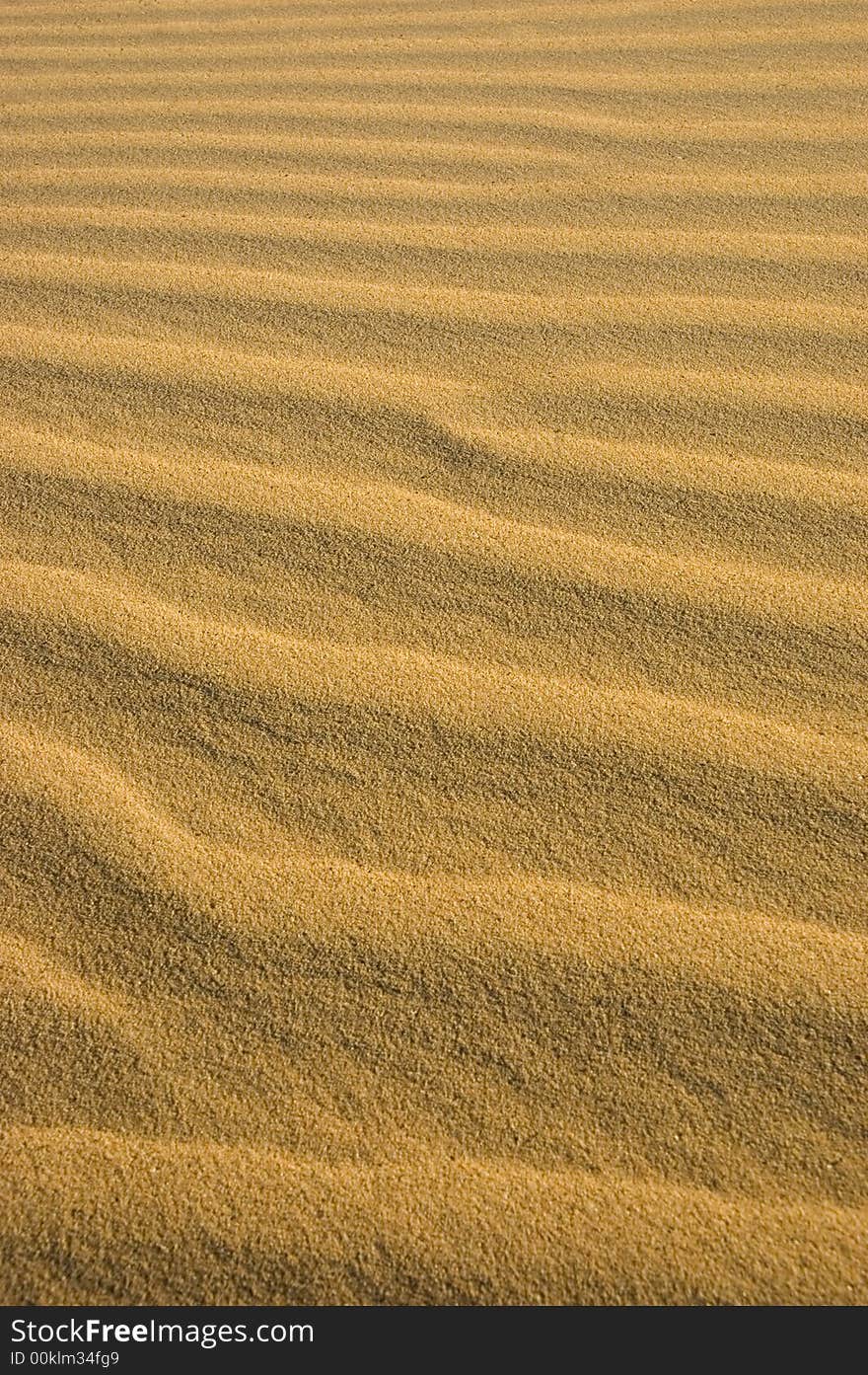 Gold waves of sand in the desert