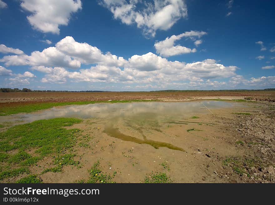 Meadow with small water pond