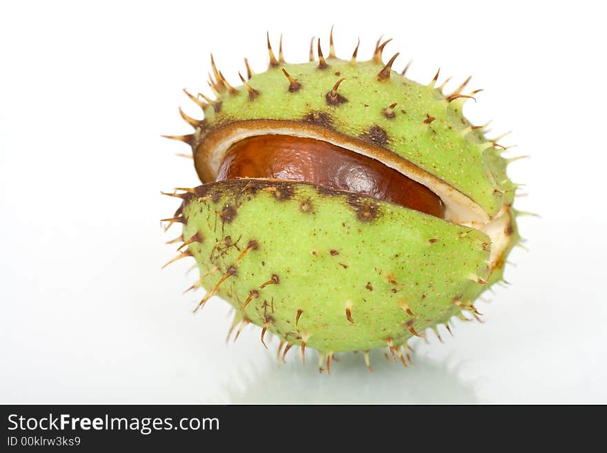 Chestnuts Close Up Isolated