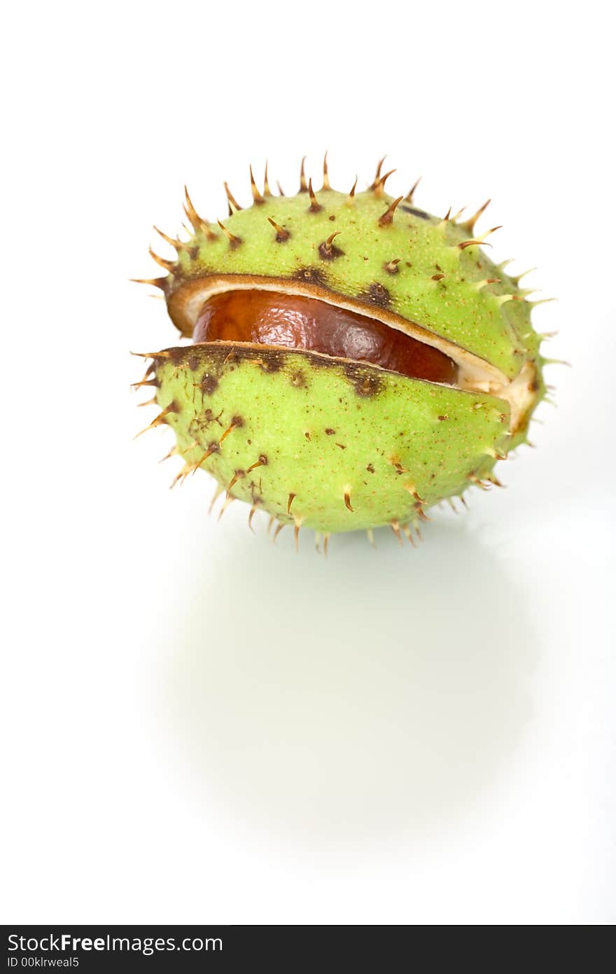 Chestnuts close up isolated