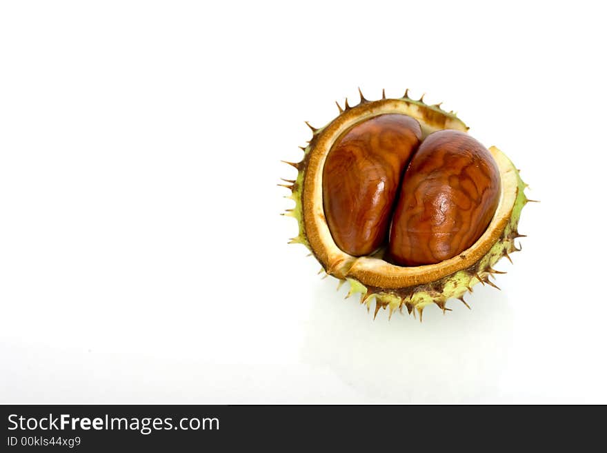 Chestnuts close up isolated