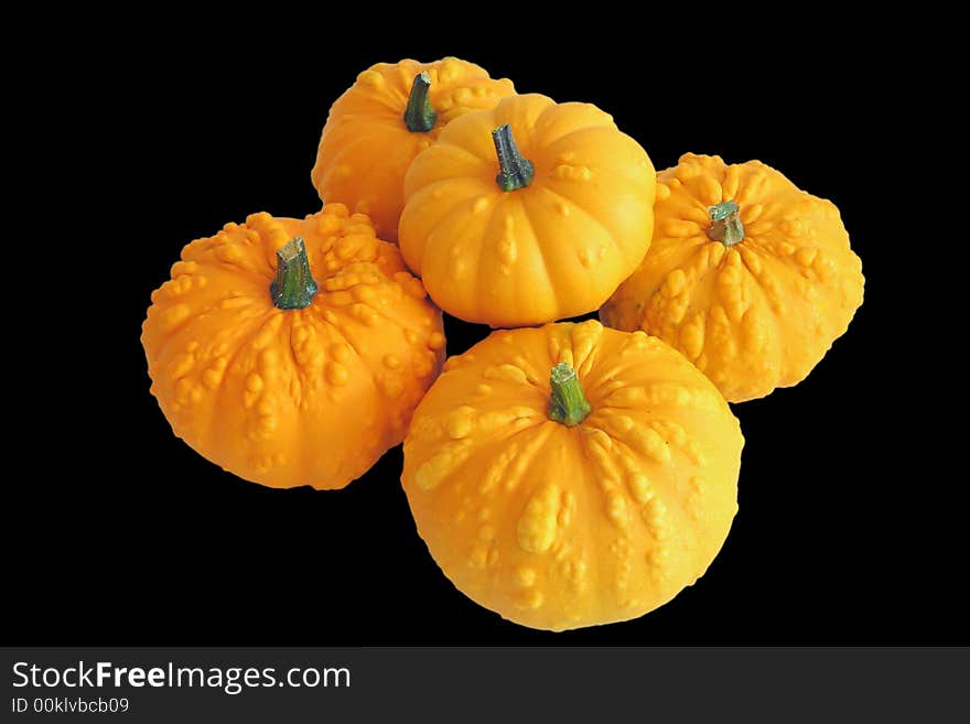 Bunch of ornamental squash on black