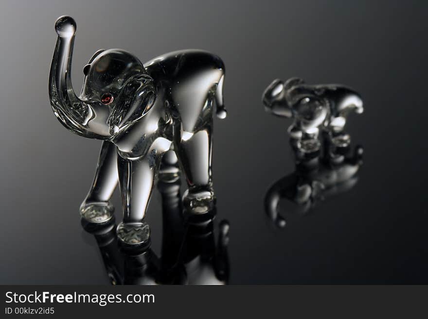 Glass elephant statues with reflection