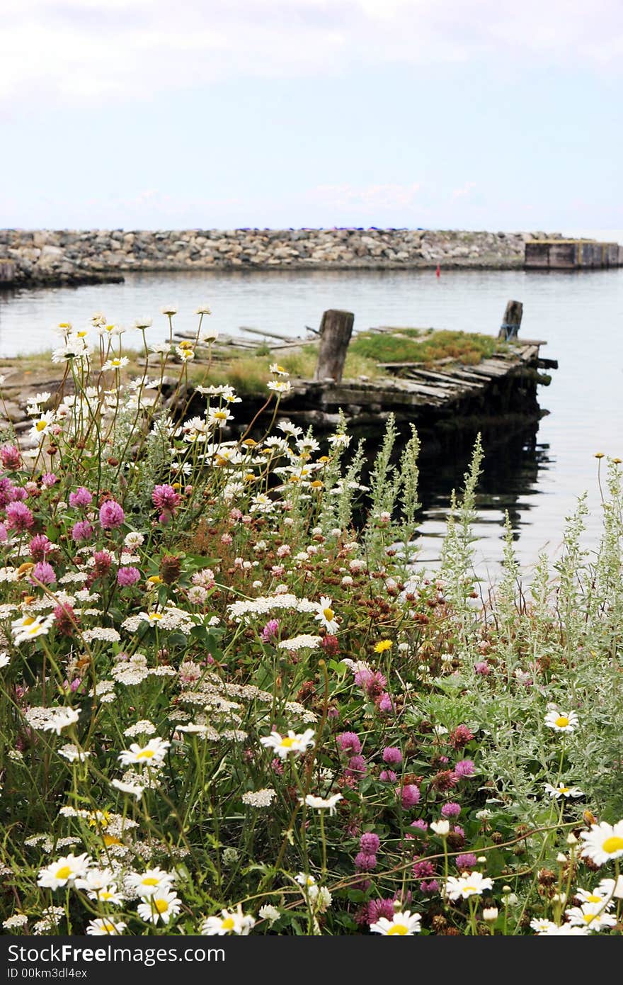 Pretty wharf scenic with flowers