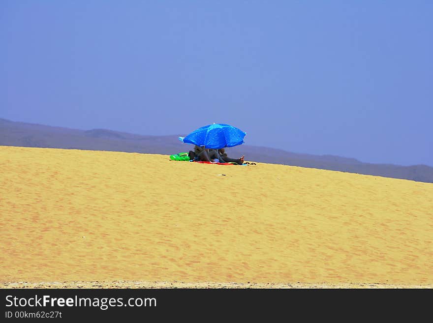 Under the sun on the dune