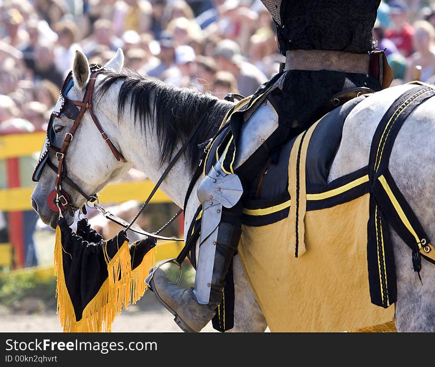 Horse with rider