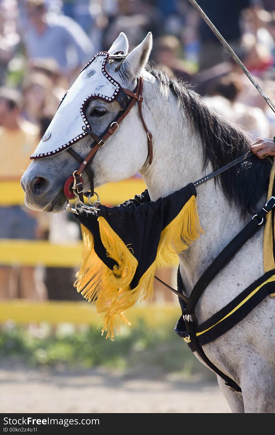 Horse with armor