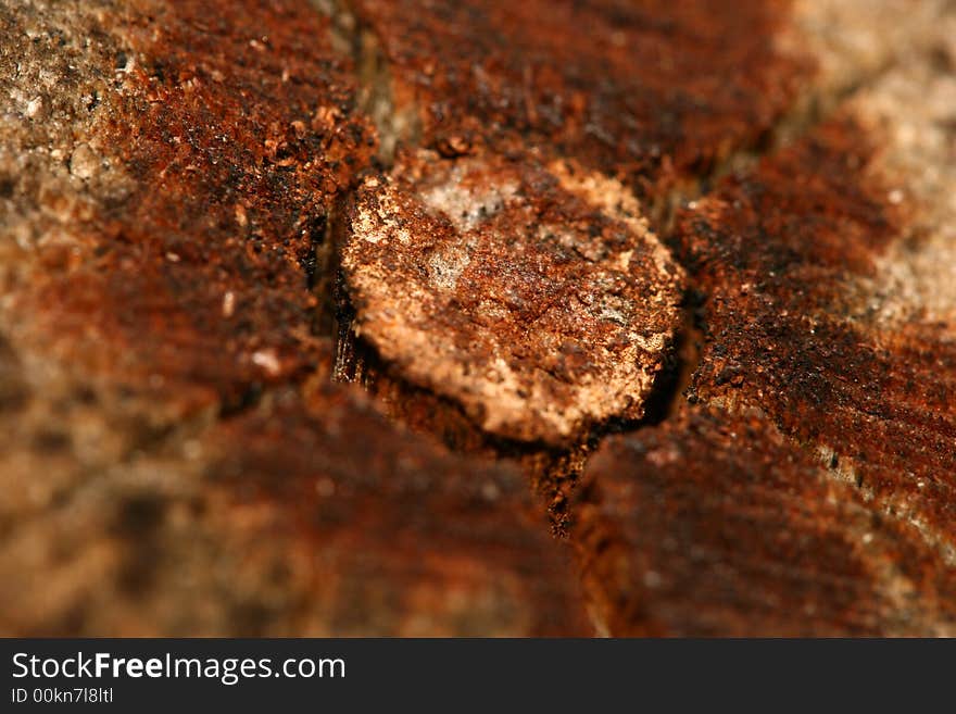 Wood texture background close-up detail. Wood texture background close-up detail