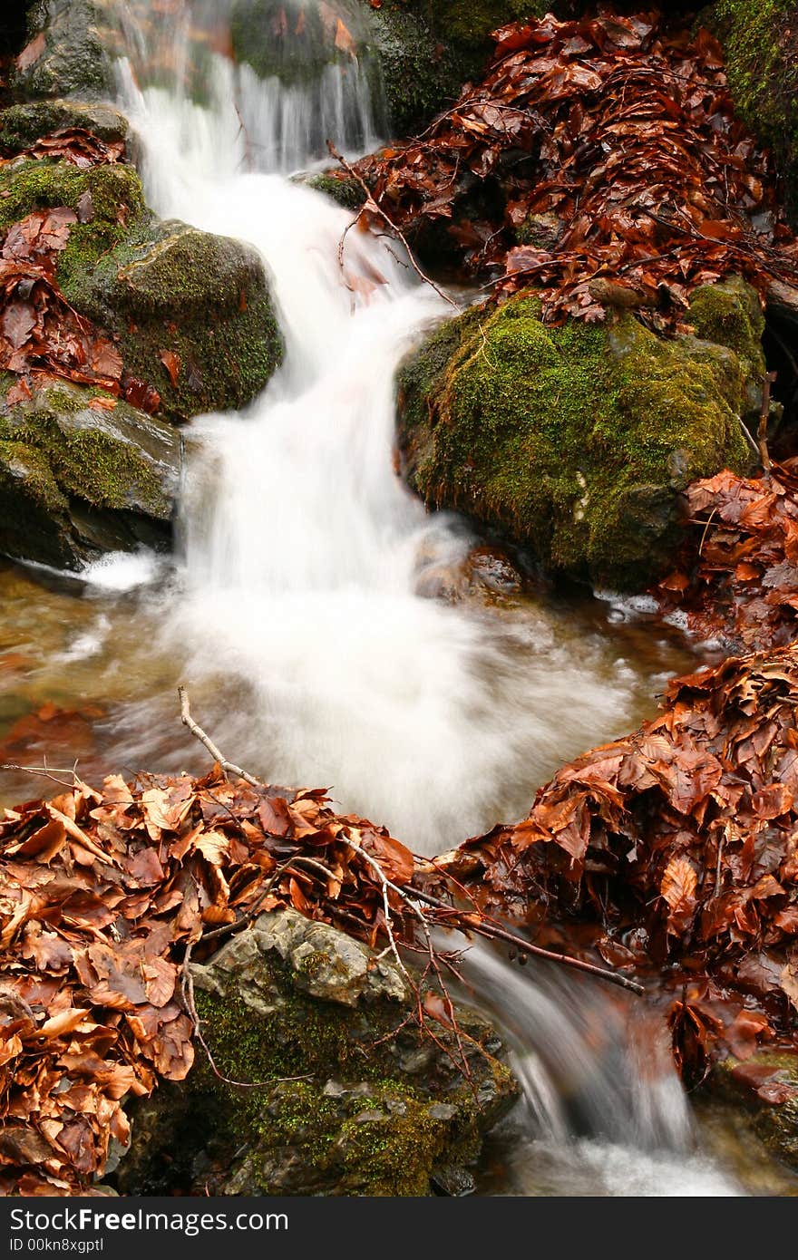 Forest stream, stone and braun  leaves