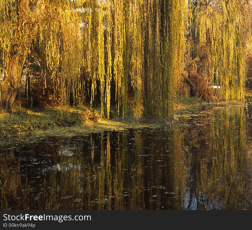 Autumn in the park of Skopje city