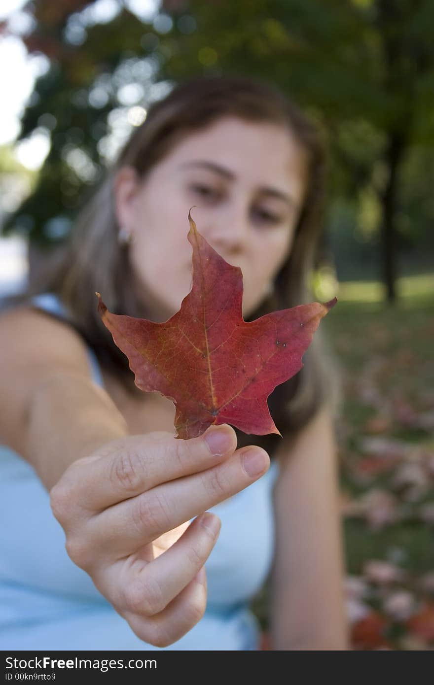 Red Leaf