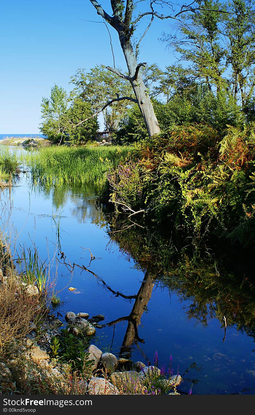 Blue river near the beach and reflection from plants