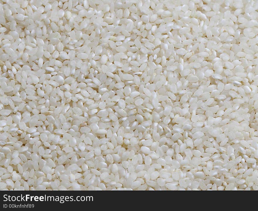 Photo macro of rice. detail