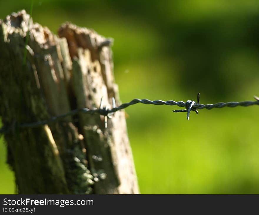 A sharp barbwire attached to a pole protecting a horsefarm. A sharp barbwire attached to a pole protecting a horsefarm