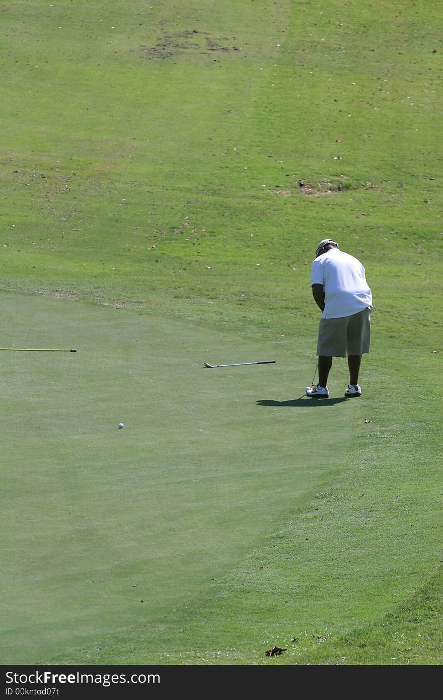 A golfer on the green starting his putt. A golfer on the green starting his putt