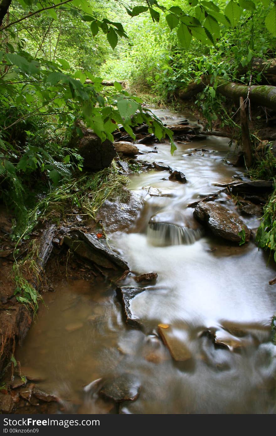 Small stream tucked away in the middle of the woods. Small stream tucked away in the middle of the woods