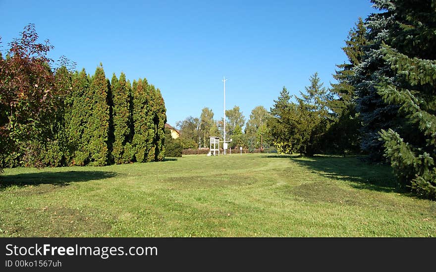 Picture modification grassy surface in gardens