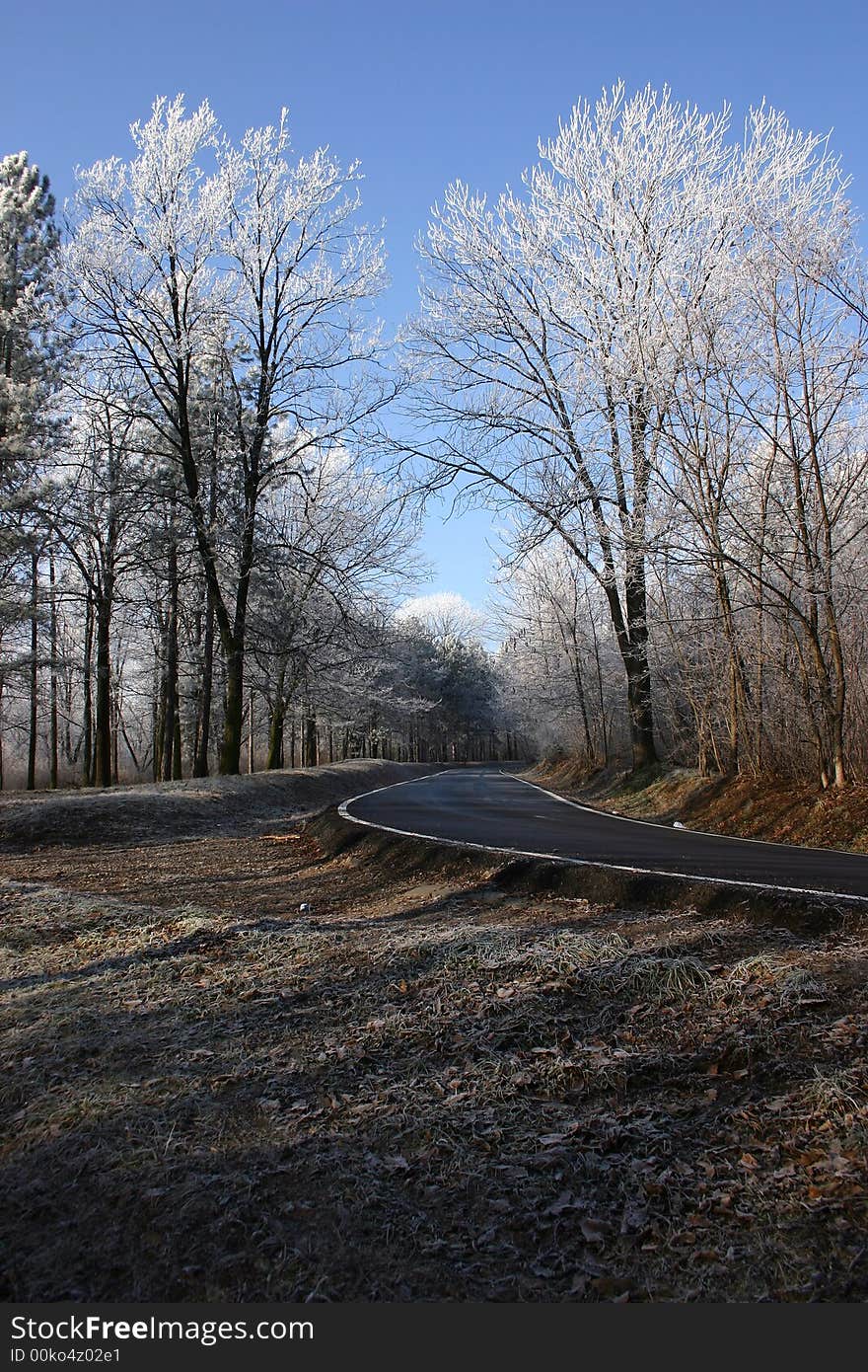 Wintery street through Kosutnjak, also called the Lungs of Belgrade just outside of Belgrade, Serbia. Wintery street through Kosutnjak, also called the Lungs of Belgrade just outside of Belgrade, Serbia.