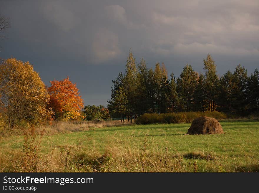 The autumn colors in the russian countryside. Yellow trees, green and yellow grass, sky with clouds. The autumn colors in the russian countryside. Yellow trees, green and yellow grass, sky with clouds