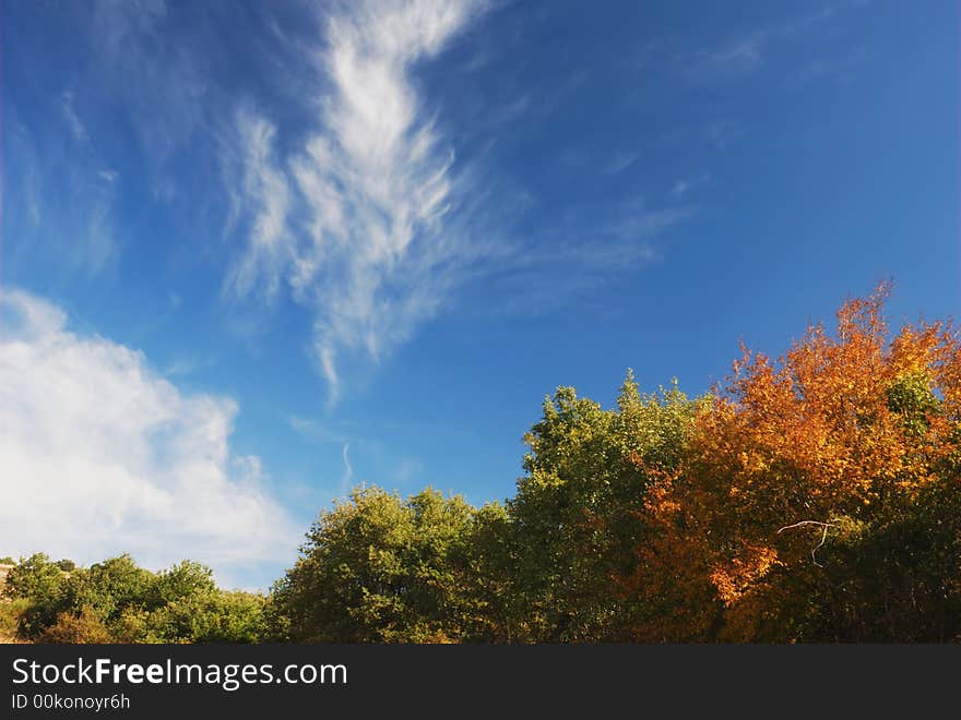 Colorful autumn trees and beautiful cloudscape in late afternoon. Colorful autumn trees and beautiful cloudscape in late afternoon