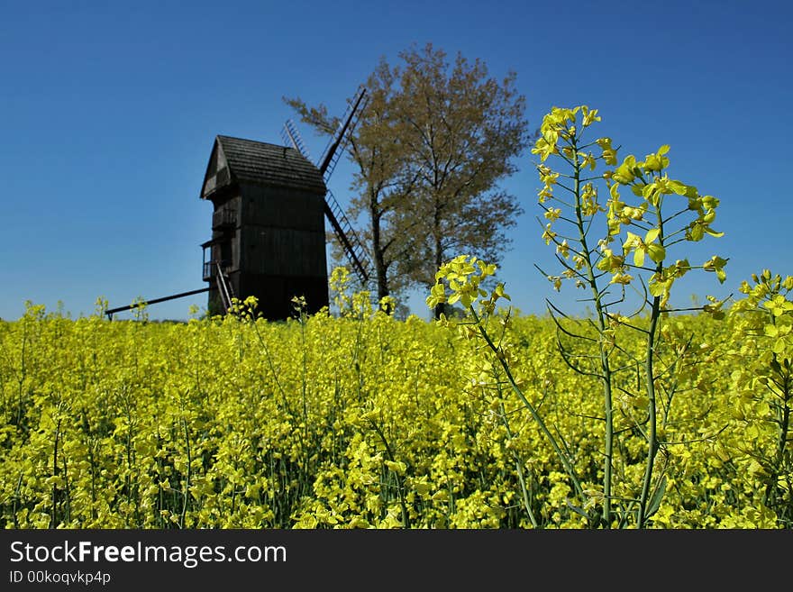 Spring windmill