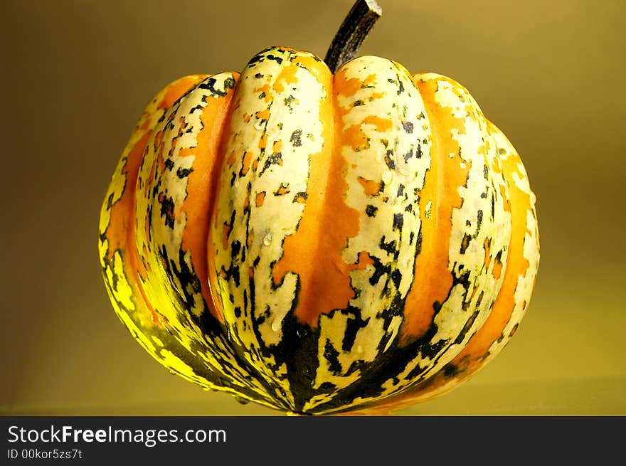 Photo of fall pumpkin with spots