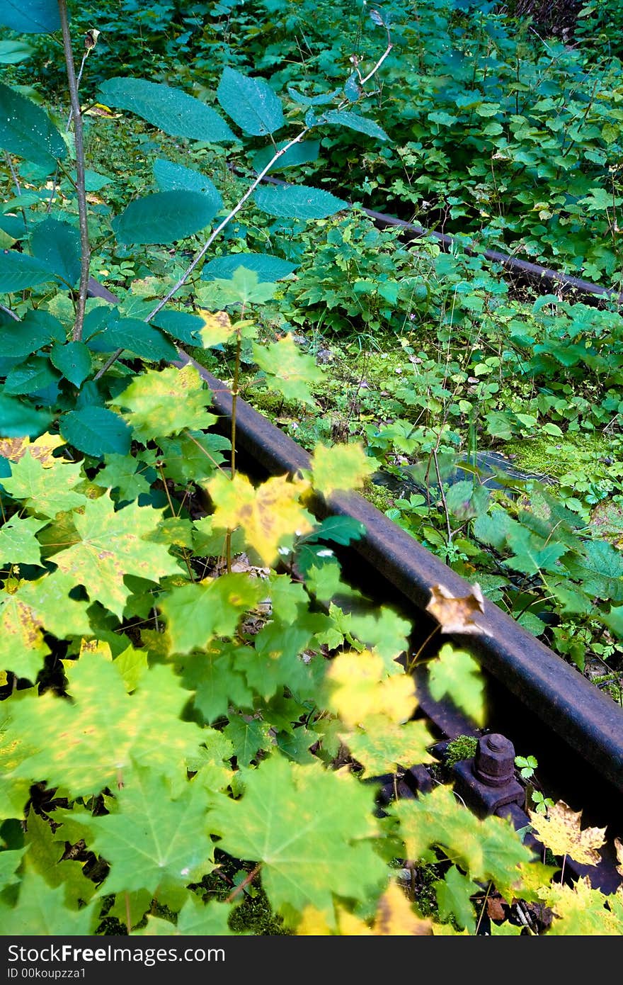 Rails in southern part of Poland