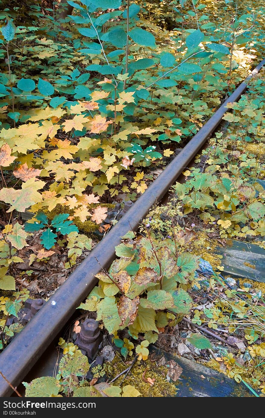 Rails in southern part of Poland