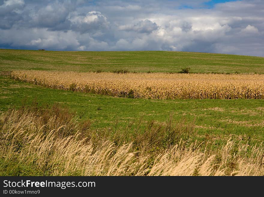 Landscape, Poland