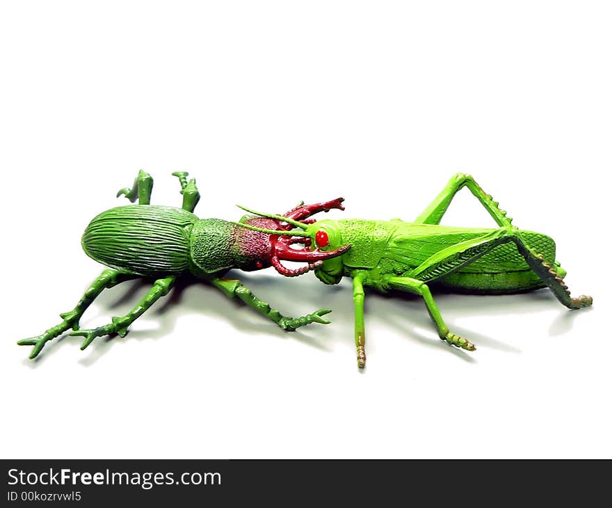 Plastic toy insects posed to show beetle attacking a grasshopper